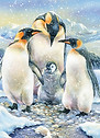 penguin-family.jpg