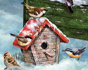 Thumbnail: For The Birds 1000 Piece Bird Puzzle by Cobble Hill