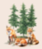 Fox In Forest T-Shirt by All About Animals