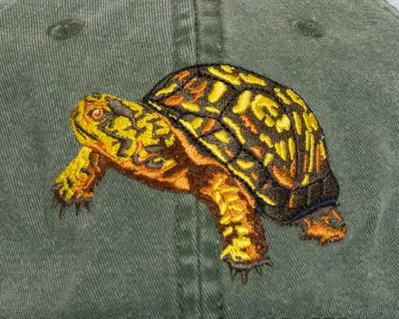 closeup of North American Box Turtle Hat by Eco Wear