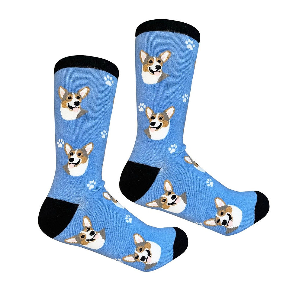 Corgi Sock Daddy Socks by E&S Pets
