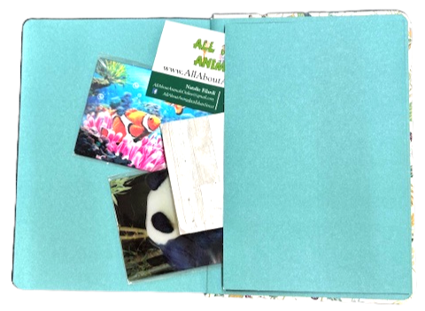 Thumbnail: Ocean Dream Journal by Peter Pauper