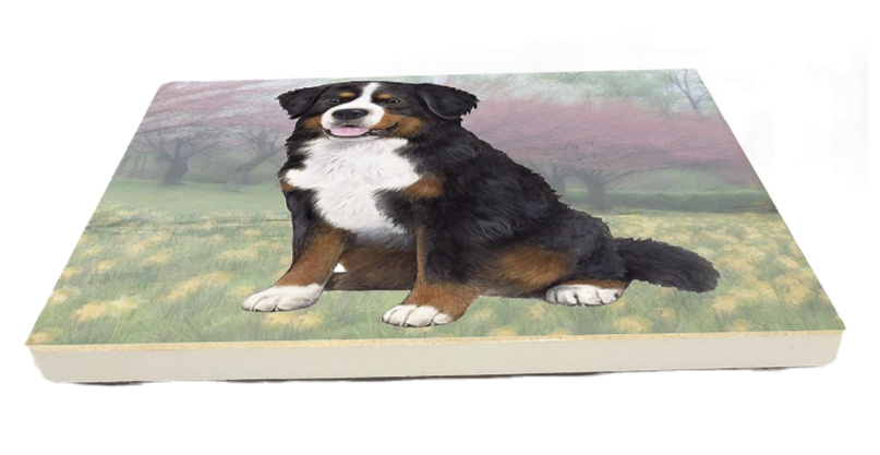Thumbnail: Bernese Mt Dog Ceramic Stone Coaster by E&S Pets