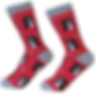 Bernese Mt Dog Sock Daddy Socks by E&S Pets