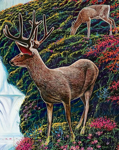 Thumbnail: Mystic Forest 500 Piece Deer Puzzle by Cobble Hill