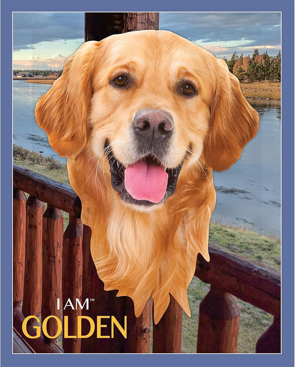 Thumbnail: I Am Golden 550 Piece Golden Retriever Puzzle by Madd Capp