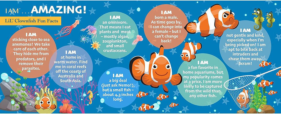 Thumbnail: I Am Lil' Clownfish 48 Piece Puzzle by Madd Capp