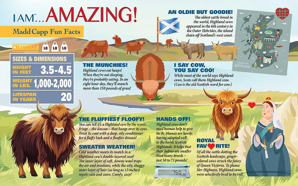 Thumbnail: I Am Highland Cow 550 Piece Puzzle by Madd Capp