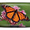 Thumbnail: "Orange Monarch Butterfly" Armored Wallet by Monarque