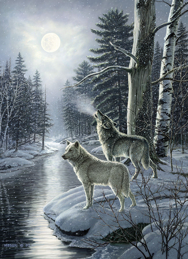 1000 Piece "Wolves By Moonlight" Wolf Jigsaw Puzzle by Cobble Hill
