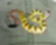 closeup of Blacktail Rattlesnake Hat by Eco Wear