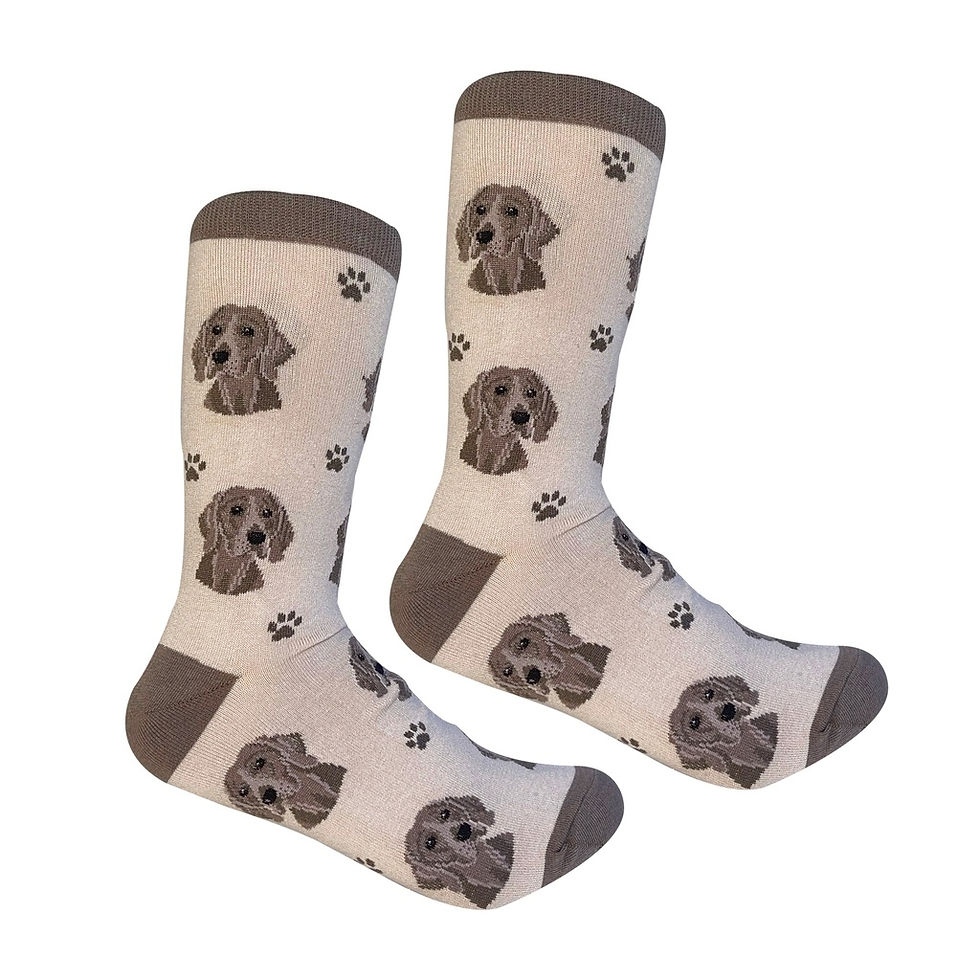 Weimaraner Sock Daddy Socks by E&S Pets