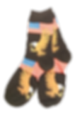 Eagle Crew Socks for Women by Foozy's