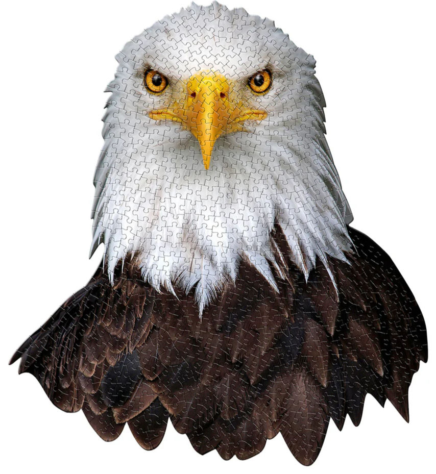 I Am Eagle 550 Piece Puzzle by Madd Capp