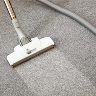 Carpet Inspiration