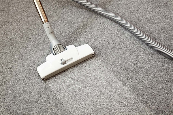 Applying DE to kill bed bug in Malaysia