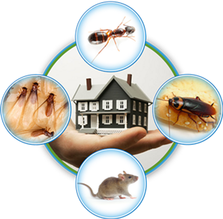 Image result for pest control