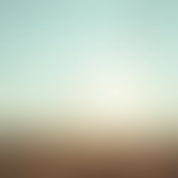 Shifting Focus to Achieve Positive Outcomes