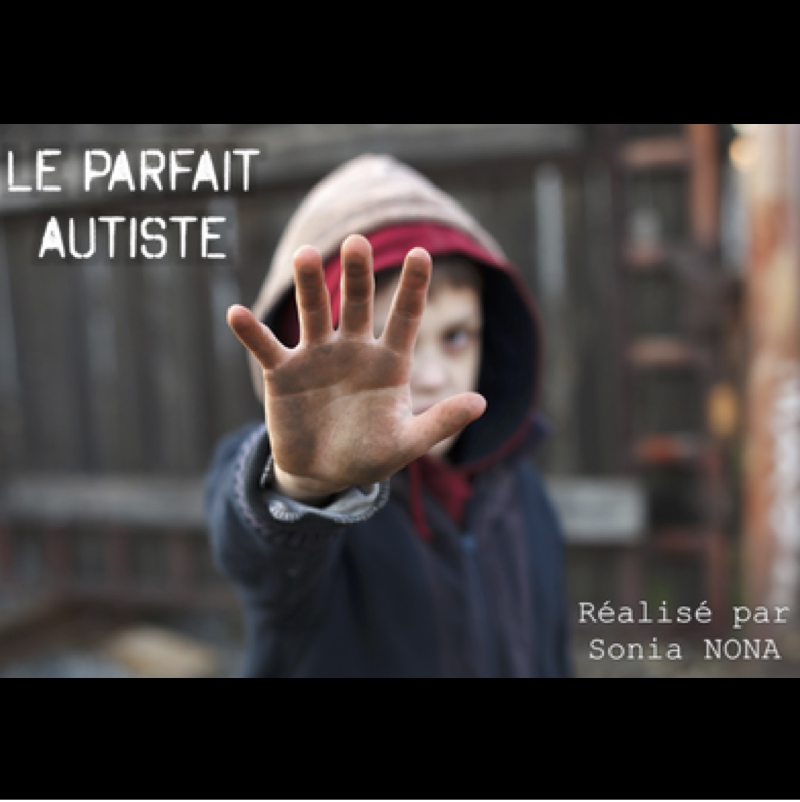 LE PARFAIT AUTISTE (Paris)