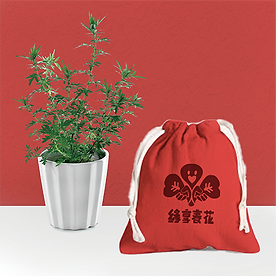 植感療癒包(A款)_00.png