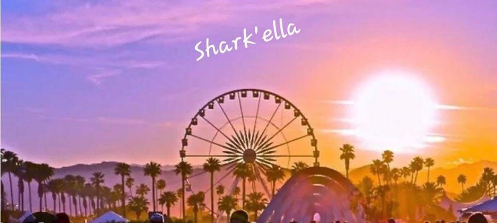 Shark'ella- Sharks Seniors Presentation 2026