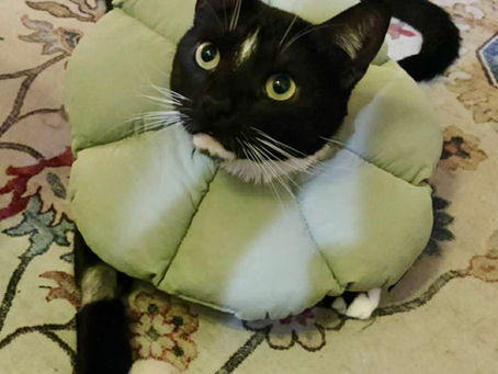 2026 Spring Newsletter