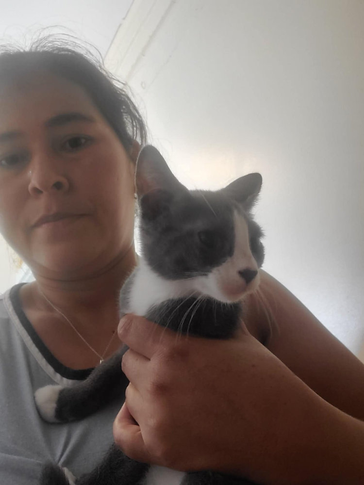 Dat Cat Under the Drop Trap: Ana's Quest to Prevent Homeless Cats