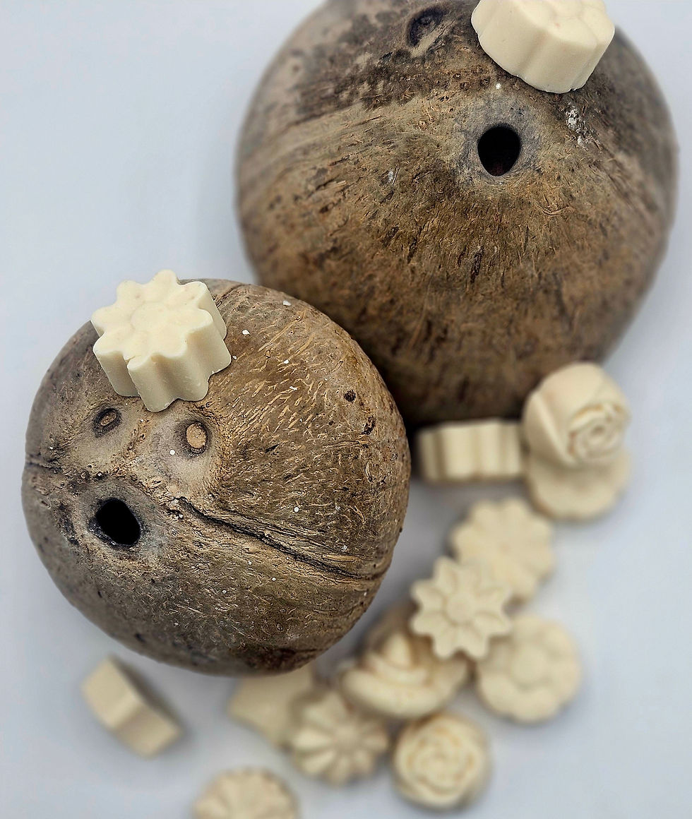 Thumbnail: Natural Botanical Wax Melts