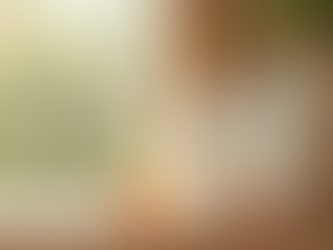 Embracing Natural Skincare Shopping for Radiant Wellbeing