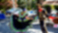 dancers from hispanic heritage month celebration 2022_edited.jpg