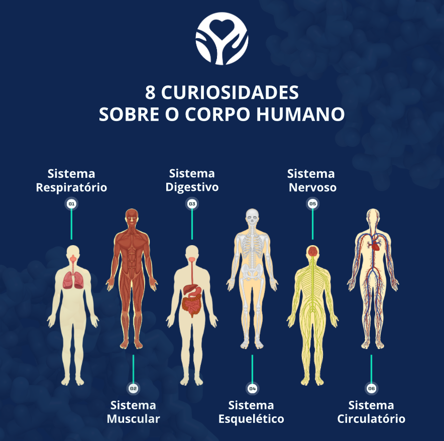 8 Curiosidades sobre o corpo humano