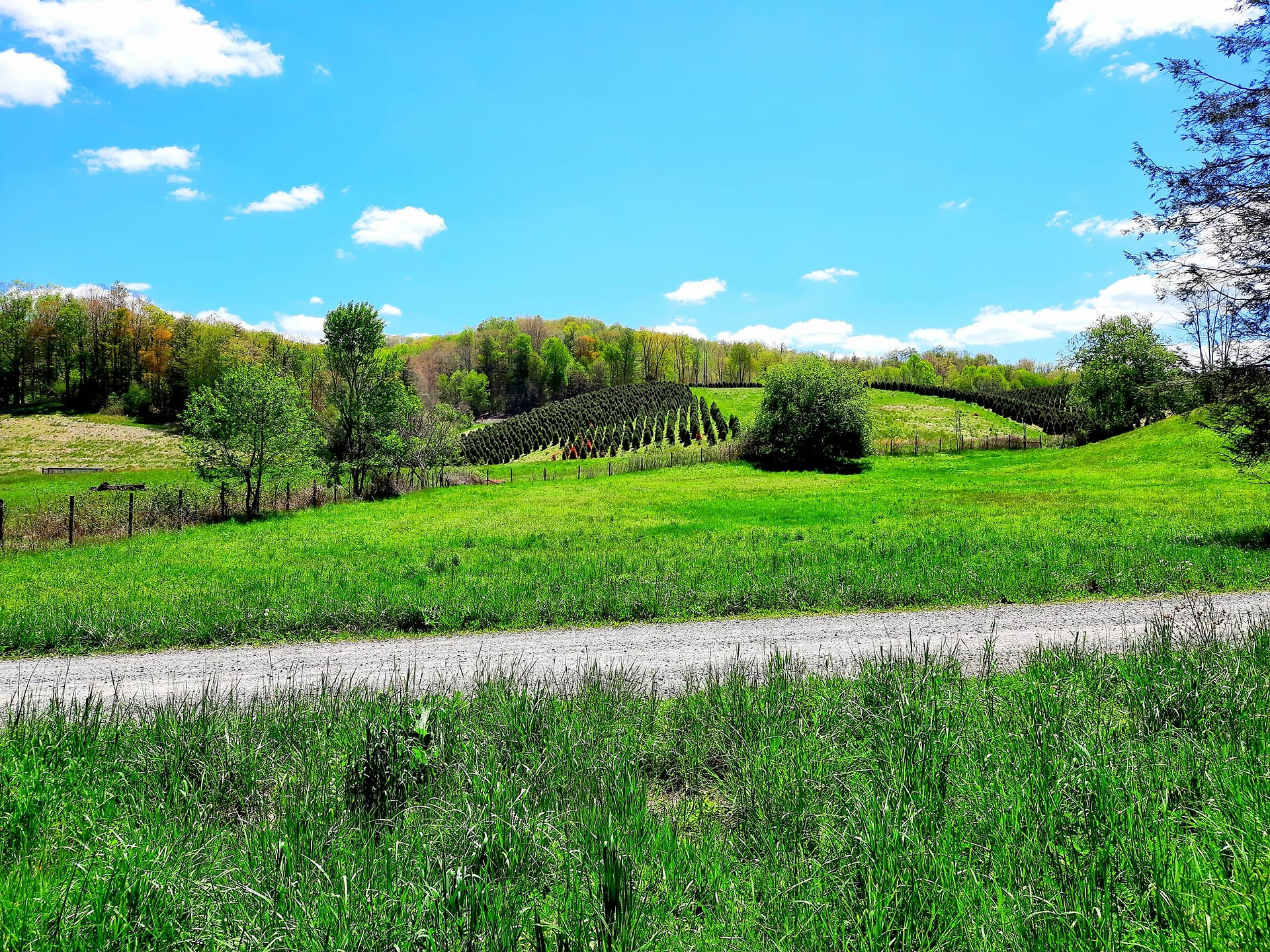 Virginia Creeper Trail
