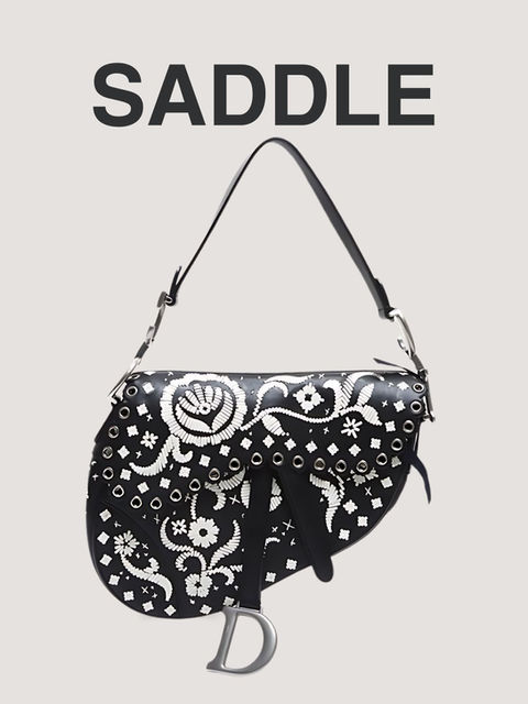 Dior Saddle bag