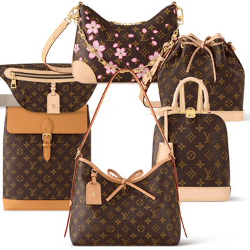 6 Louis Vuitton bags