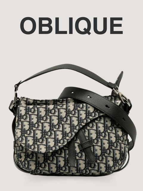 Dior Oblique bag