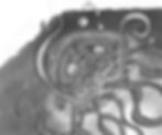 Brain Invaders
