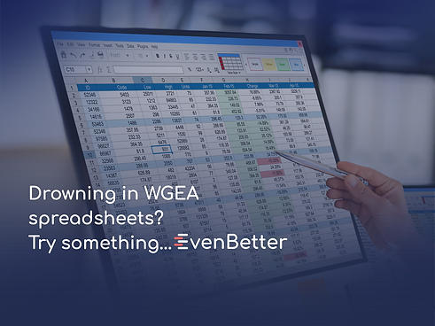 WGEA Data Analysis Offer (2).png