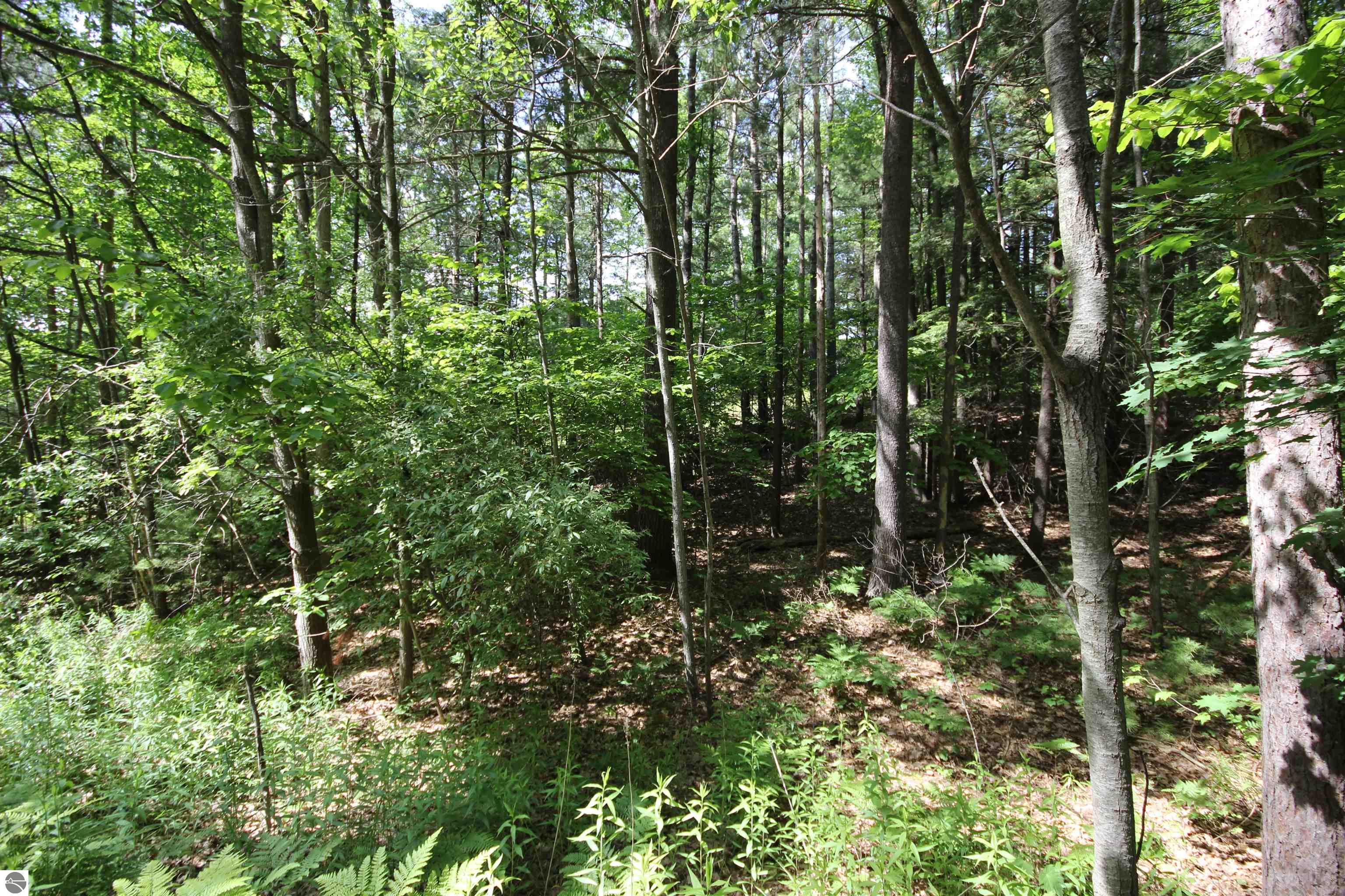 9983 Center Road
