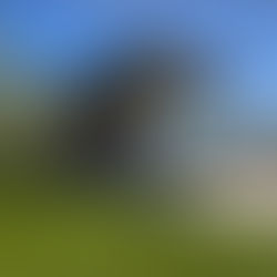 Custom Alumawood pergola in a Phoenix backyard providing shade and style for outdoor living