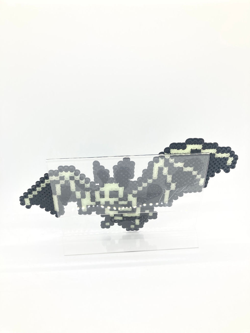 Thumbnail: Bat Skeleton
