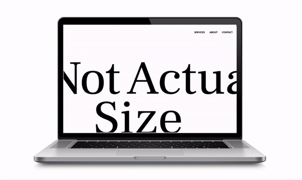 NAS website design.gif