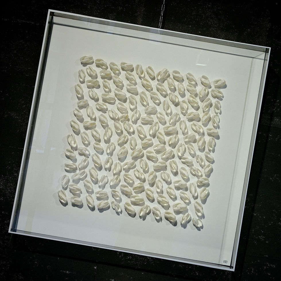 "Coquillages" - Flux Libre - 2016
