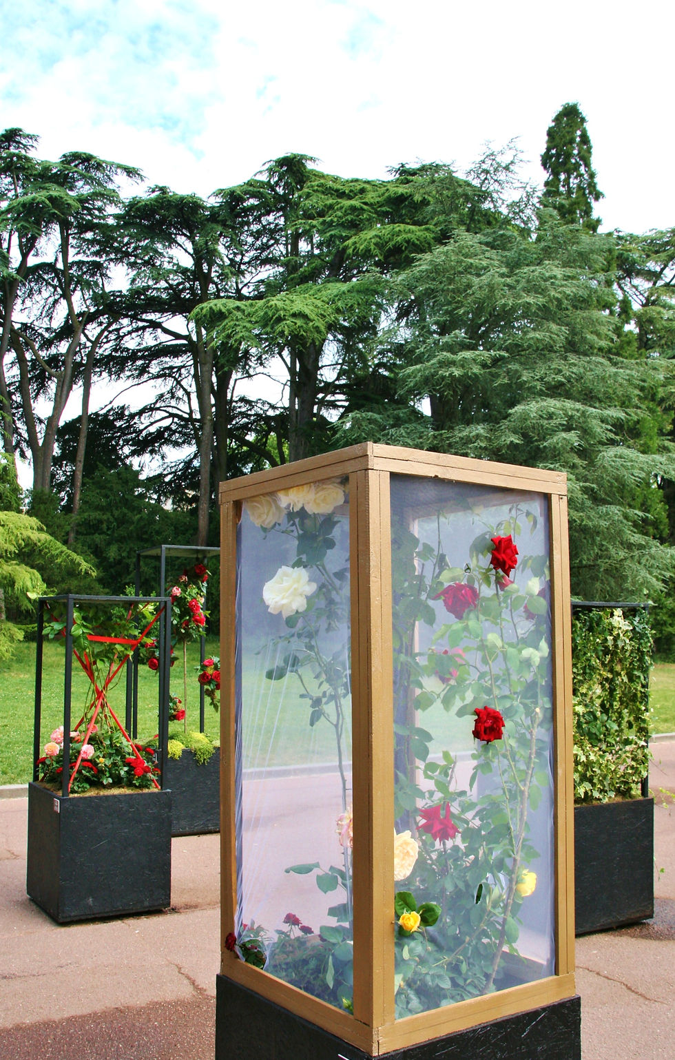 « Ecrins de Rose » - Festival international de la Rose - Parc de la Tête d’Or - Lyon 2015