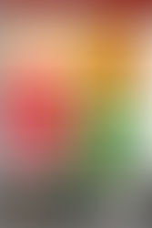 小倉ミルトン 『オグラミルトン個展 MILTON'S FRIENDS 』