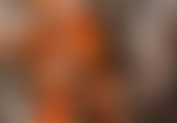 A Look Inside Orange1 Basketball Academy, part II