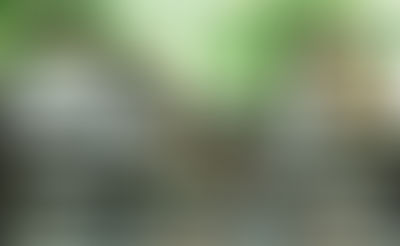 bankta oturan üç kişi var ikisi evli ama erkek eş bankın arkasından üçüncü kişi olan kadının elini gizlice tutuyor. aldatmakla ilgili