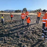Group of Bangerang Aboriginal Rangers working in a field, representing connection, culture, and community.
