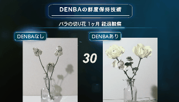 Videotogif-2.gif