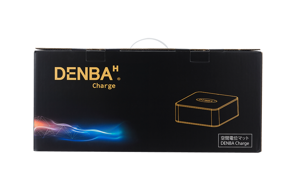 DENBA Health Charge