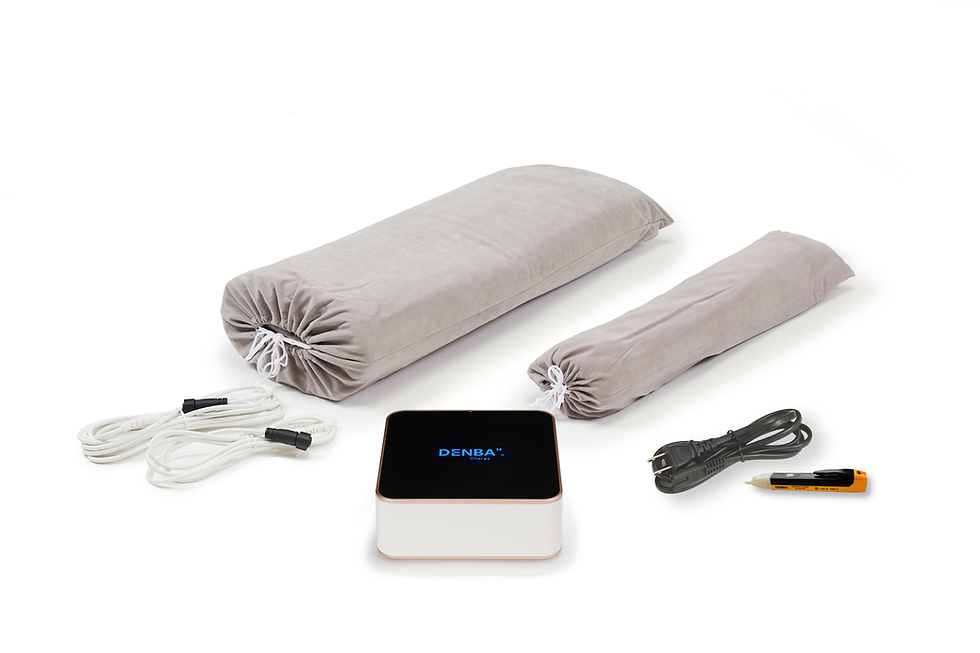 DENBA Health Charge